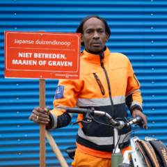 Leeuwarden verschilmakers bomba4 portret